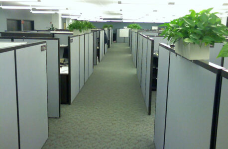 Currently Clueless Image